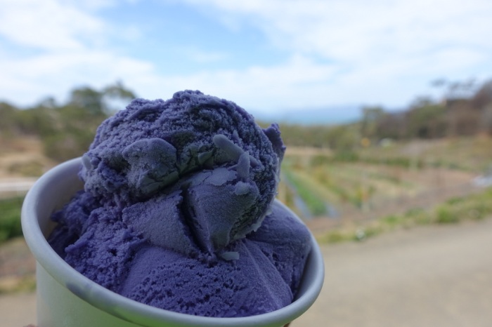 Lavender Ice Cream... soooo gooood!